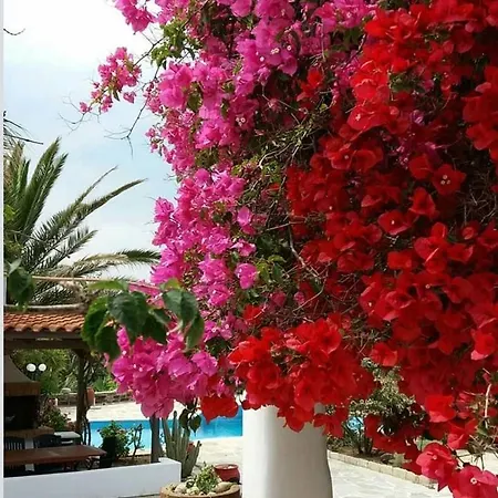 Pari Manda Villa Agios Prokopios (Naxos)