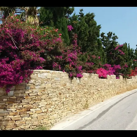 Pari Manda Villa Stelida (Naxos)