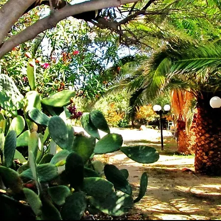 Pari Manda * Agios Prokopios (Naxos)