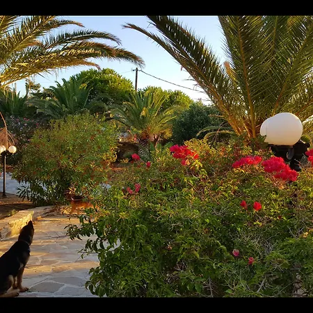 וילה Pari Manda איוס פרוקופיוס